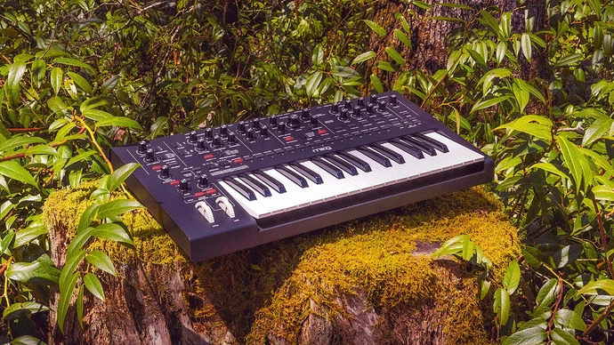 doremusic - moog